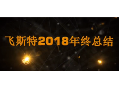 飛斯特汽車(chē)科技2018年度總結(jié)視頻